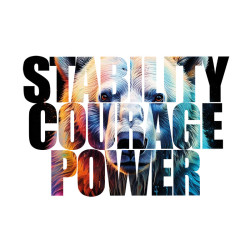 T-shirt Stabilité Courage Power| Atypics