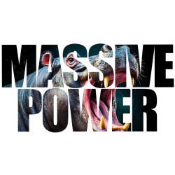 T-shirt Massive Power| Atypics